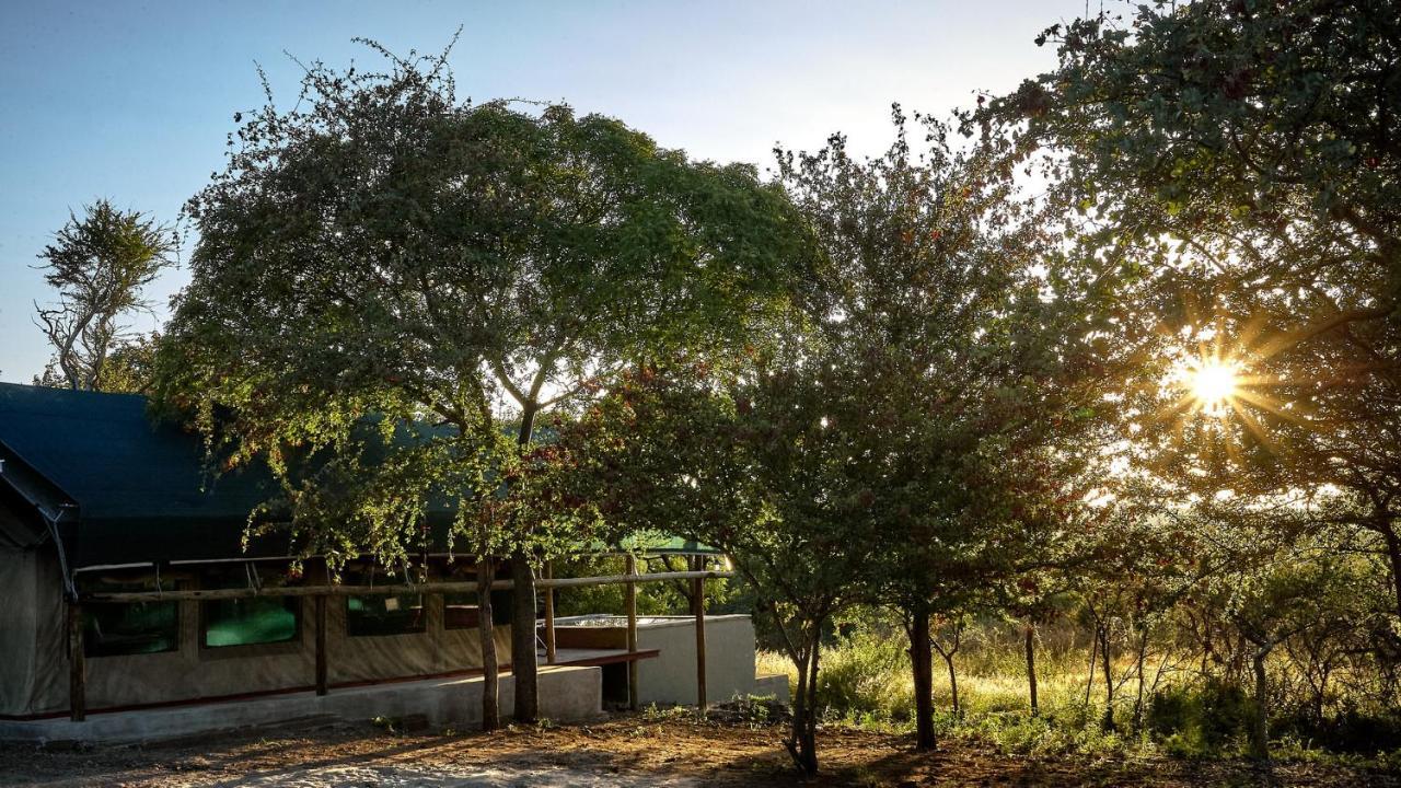 Zuricamp - Tent Madini تسومب المظهر الخارجي الصورة